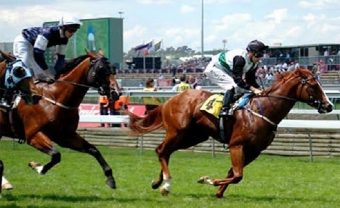 horse racing