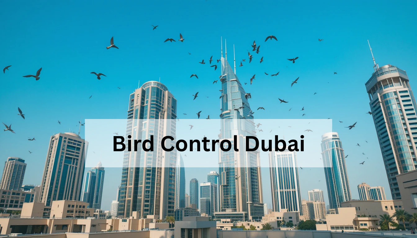 Bird Control Dubai | Al Mandhar Pest Control